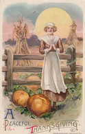 Thanksgiving Greetings, Woman In Harvest Field, Schmucker Image, C1910s Vintage Postcard - Thanksgiving