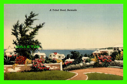 BERMUDA - A TRIBAL ROAD - YANKEE STORE - - Bermuda