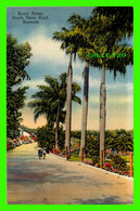 BERMUDA - ROYAL PALMS, SOUTH SHORE ROAD - YANKEE STORE - ANIMATED PEOPLES - - Bermuda