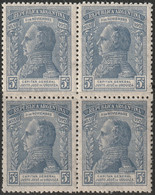 Argentina 1920 Sc 283  Block MNH** - Neufs