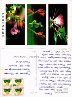 CPM SURINAME-Amazone Flora-Flowers (329995) - Surinam