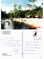 CPM SURINAME-Cola Kreek-Holiday Resort (330184) - Suriname