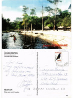 CPM SURINAME-Cola Kreek-Holiday Resort (330184) - Surinam