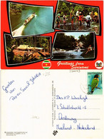 CPM SURINAME-Greetings From Suriname (330079) - Surinam