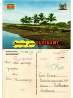 CPM SURINAME-Greetings From Suriname-View Of New Amsterdam (330070) - Surinam