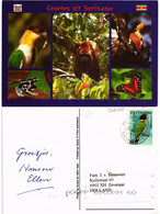 CPM SURINAME-Souvenir (330108) - Surinam