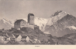 B9694) SARGANS - Wunderschöne Alte Ansich Tmit Burg U. Haus Details ALT 1909 - Sargans