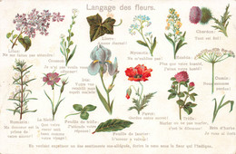 CPA Langage Des Fleurs - Carte En Couleur - Fantaisie - Fiori