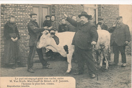 WUUSTWEZEL  STERKE BEER P.JANSSEN  - LE CHARIOT EST PLACE PAR VINGT PERSONNES ET LE GEANT S'EN MOQUE   3 KAARTEN - Wuustwezel