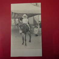 CARTE PHOTO ANE ENFANT - Burros