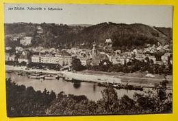 18365 - Sächs Schweiz + Schandau - Hohnstein (Sächs. Schweiz)