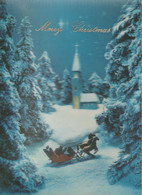 Merry Christmas - Horse Sleigh - Fir - Winter - 3D / Stereoscopique - Cartes Stéréoscopiques