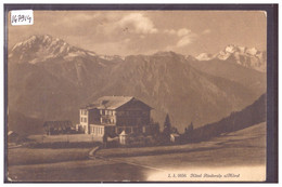 HOTEL RIEDERALP OB MÖREL - B ( PETIT AMINCI AU DOS ) - Riederalp