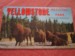 YELLOWSTONE - National Park - Dépliant 8 Vues Double Face - Other & Unclassified
