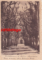 CASTELLAMMARE DI STABIA - QUISISANA - VIALE D ' ENTRATA ALL ' EX PALAZZO REALE F/GRANDE VIAGGIATA 1949 ANIMATA - Castellammare Di Stabia