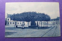 Retie De Eeuwenoude Lindeboom  1909 - Retie