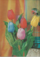 Flowers - Tulips - 3D / Stereoscopique - Cartes Stéréoscopiques