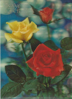 Flowers - Roses - Bonne Fete - 3D / Stereoscopique - Cartes Stéréoscopiques