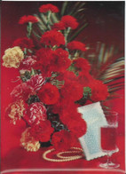 Flowers - Carnation - 3D / Stereoscopique - Cartes Stéréoscopiques
