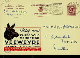 Publibel Obl. N° 1912  ( Protection Des Animaux: VEEWEYDE - Tête De Chiens - Dog) Obl. BXL  15/09/64 - Publibels