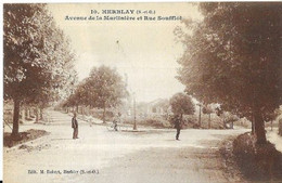 95 HERBLAY.  AVENUE  DE LA MARTINIERE  ET RUE SOUFFLOT - Herblay