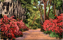 Alabama Obile Azaleas And Spanish Moss At Entrance To Bellingrath Gardens - Mobile