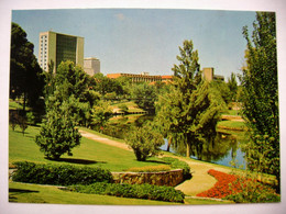 Adelaide - River Torrens, A Picturesque Scene Along The River - Adelaide