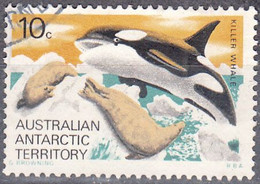 AUSTRALIAN ANTARTIC TERR.   SCOTT NO L28  USED  YEAR 1973 - Gebraucht