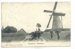 Kalmthout Calmpthout Heidemolen Uitg. Hoelen Nr 405 ( Timbre Arraché - Stempel Verwijderd ) - Kalmthout