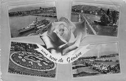 CPA UNE ROSE DE GENEVE - Edition JAEGER Genève - Greetings From...