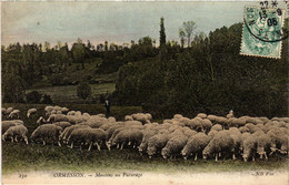 CPA Ormesson - Moutons Au Paturage (275315) - Ormesson Sur Marne