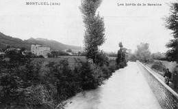 MONTLUEL, LES BORDS DE LA SEREINE, PRSONNAGES REF 4490 - Montluel