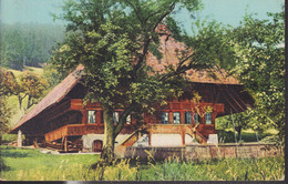 AK, 1915 Hübsch Im Grünen, Emmentaler Bauernhaus In Grünenmatt B. Trachselwald. Kunstmotive N°. 8024 - Wald