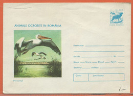 OISEAUX PELICANS ROUMANIE ENTIER POSTAL DE 1977 - Pelicans