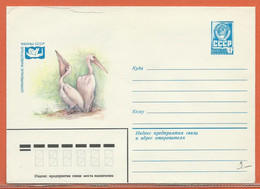 OISEAUX PELICANS RUSSIE ENTIER POSTAL DE 1980 - Pelicans