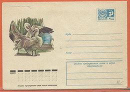 OISEAUX PELICANS RUSSIE ENTIER POSTAL DE 1975 - Pelicans