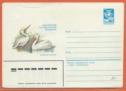 OISEAUX PELICANS RUSSIE ENTIER POSTAL DE 1982 - Pélicans