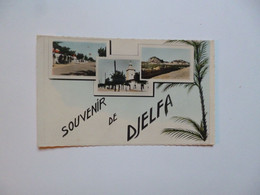 DJELFA  -  Souvenir De Djelfa    -  ALGERIE - Djelfa