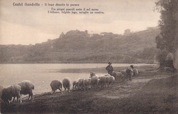 CPA ITALIE - CASTEL GANDOLFO - Il Lago Dissaeta Le Pecare - Mouton - Berger - Autres & Non Classés