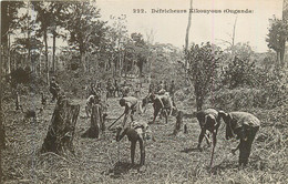 OUGANDA Défricheurs Kikouyous - Oeganda