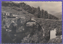 Carte Postale 64. Bidarray  Le Pont Romain   Très Beau Plan - Bidarray