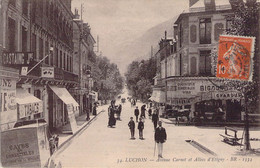 CPA France - 31 - LUCHON - Avenue Carnot Et Allées D'Etigny - BR - 1334 - Luchon