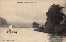 Dep 01 , Cpa  LAC De NANTUA , Le Palin   (16848) - Nantua