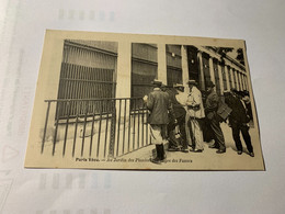 PARIS VECU .Aux Jardin Des Plantes . Les Cages Aux Fauves - Histoire