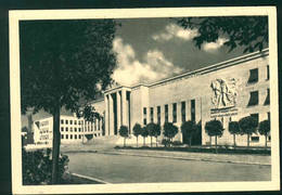 CLF132 - ROMA - CITTA' UNIVERSITARIA - PIAZZA CENTRALE CON EDIFICI RETTORATO 1940 CIRCA - Educazione, Scuole E Università