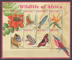 Sierra Leone 1995 - Wildlife Of Africa Bf           (g8893) - Vrac (max 999 Timbres)