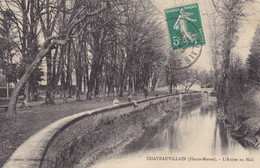 CHATEAUVILLAIN - L'Aujon Au Mail - Chateauvillain