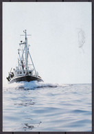 Vollbeladener Hirtshals-Trawler Auf Dem Weg Nach Hause 1989 (N-167) - Pêche