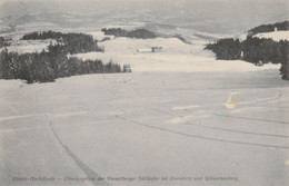 VOR93  --  BODELE  - HOCHALPELE  --  UBUNGSGEBIET DER VORARLBERGGER SKI LAUFER BEI DORNBIRN  --  1908 - Dornbirn