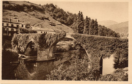 Bidarray - Le Très Pittoresque Et Vieux Pont En Dos D'âne Sur La Nive - Bidarray